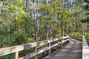 16 Plum Ct, Bluffton, SC 29909 - Photo 45