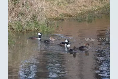 10 Abbeville Court, Bluffton, SC 29910 - Photo 39