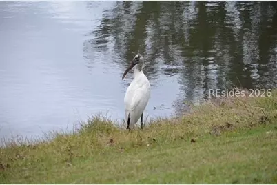 10 Abbeville Court, Bluffton, SC 29910 - Photo 37