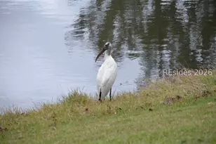 10 Abbeville Ct, Bluffton, SC 29910 - Photo 37