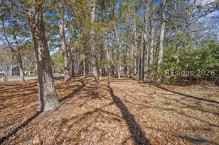 10 Canebrake Ln, Bluffton, SC 29910 - Photo 33