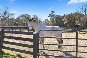 53 Stable Gate Rd, Hilton Head Island, SC 29926 - Photo 71