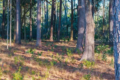 196 Vinson Road, Bluffton, SC 29910 - Photo 19