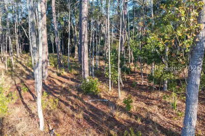 196 Vinson Road, Bluffton, SC 29910 - Photo 13