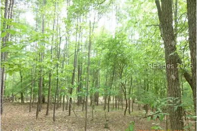 Lot 8 Block 15 Colleen Port, McCormick, SC 29835 - Photo 3