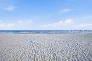 28 Pine Island Rd, Hilton Head Island, SC 29928 - Photo 81