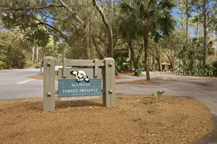 28 Pine Island Rd, Hilton Head Island, SC 29928 - Photo 75