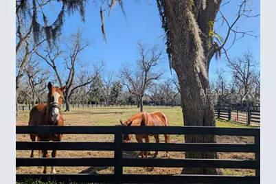 272 Moss Creek Drive, Hilton Head Island, SC 29926 - Photo 43