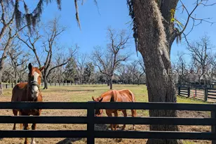 272 Moss Creek Dr, Hilton Head Island, SC 29926 - Photo 43