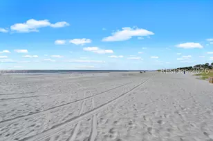 16 Dove St, Hilton Head Island, SC 29928 - Photo 65
