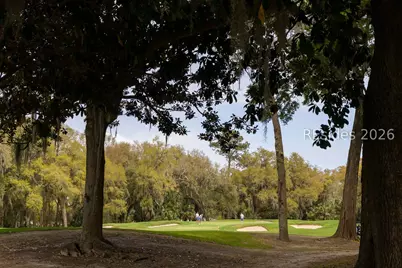 20 Plantation Homes Drive, Daufuskie Island, SC 29915 - Photo 59