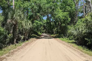 106 Frances Jones Bvld, Daufuskie Island, SC 29915 - Photo 33