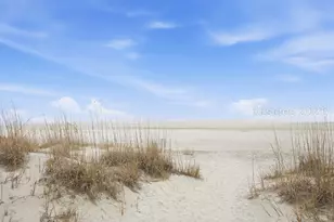 2 Night Hawk St, Hilton Head Island, SC 29928 - Photo 3