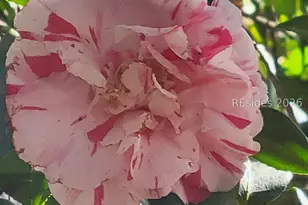 942 May River Rd, Bluffton, SC 29910 - Photo 21