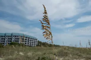 40 Folly Field Rd, Hilton Head Island, SC 29928 - Photo 41