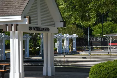 25 Wandering Daisy Drive, Bluffton, SC 29909 - Photo 39