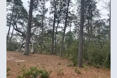 26 Pilot Point Road, Ridgeland, SC 29936 - Photo 3