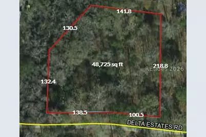 0 Delta Estates Road, Hardeeville, SC 29927 - Photo 5