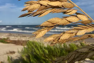 5 Cedar Point Dr, Ladys Island, SC 29907 - Photo 19