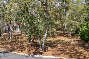 17 Millwright Dr, Hilton Head Island, SC 29926 - Photo 25