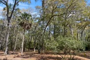 17 Millwright Dr, Hilton Head Island, SC 29926 - Photo 19