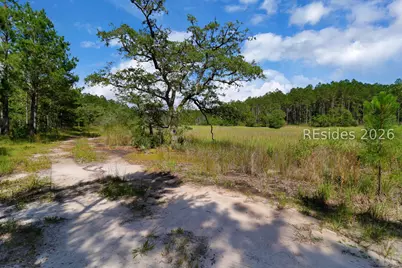 Tbd Bolan Hall Road, Ridgeland, SC 29936 - Photo 3