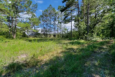 Tbd Bolan Hall Road, Ridgeland, SC 29936 - Photo 13