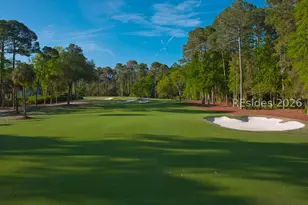 3 Roxbury Cir, Hilton Head Island, SC 29928 - Photo 81