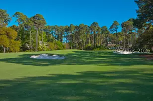 3 Roxbury Cir, Hilton Head Island, SC 29928 - Photo 73