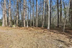 21 Wellington Dr, Bluffton, SC 29910 - Photo 27