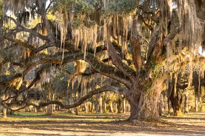 209 Harborview Drive, Beaufort, SC 29907 - Photo 61