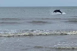 11 Tanglewood Dr, Hilton Head Island, SC 29928 - Photo 27