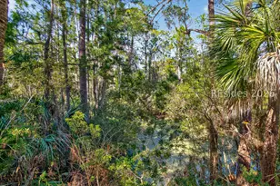 15 Pine Burr Rd E, Hilton Head Island, SC 29926 - Photo 59