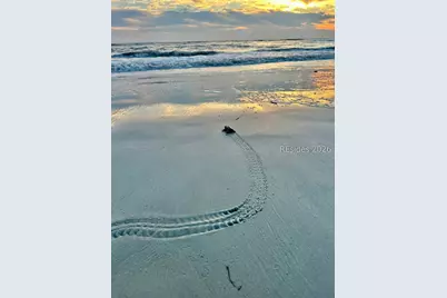 1 Cedar Reef Drive #F204, Saint Helena Island, SC 29920 - Photo 55