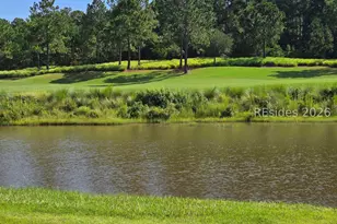 1118 Riverton Pointe Blvd, Hardeeville, SC 29927 - Photo 3