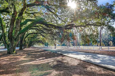 321 Bamberg Drive, Bluffton, SC 29910 - Photo 89