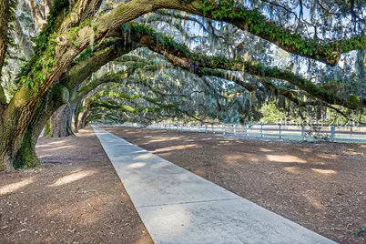 321 Bamberg Drive, Bluffton, SC 29910 - Photo 89