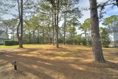 323 Bamberg Drive, Bluffton, SC 29910 - Photo 3