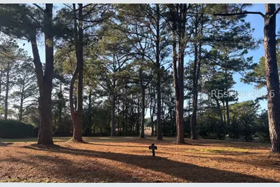 323 Bamberg Drive, Bluffton, SC 29910 - Photo 1