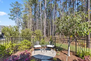 42 Jasmine Way, Bluffton, SC 29909 - Photo 53