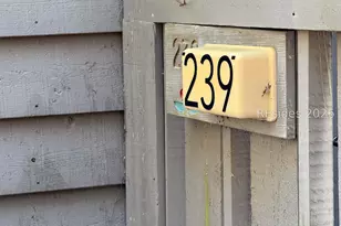 59 Carnoustie Rd, Hilton Head Island, SC 29928 - Photo 3