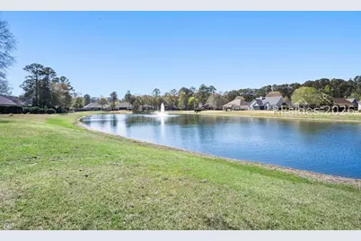 119 Bainbridge Way, Bluffton, SC 29910 - Photo 53