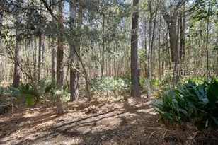 18 Pine Shadow Ct, Bluffton, SC 29910 - Photo 47