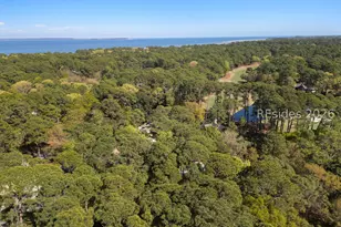 10 Sagebush Ln, Hilton Head Island, SC 29926 - Photo 63