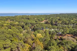 10 Sagebush Ln, Hilton Head Island, SC 29926 - Photo 67