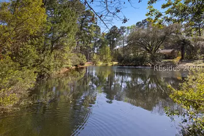10 Sagebush Lane, Hilton Head Island, SC 29926 - Photo 59