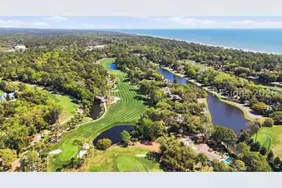 34 N Live Oak Road, Hilton Head Island, SC 29928 - Photo 53