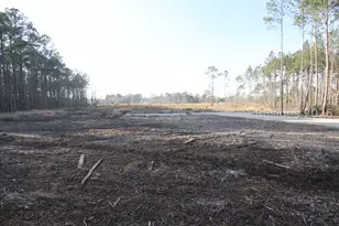 162 Wright Rd, Ridgeland, SC 29936 - Photo 1