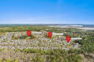 44 Red Cedar St, Bluffton, SC 29910 - Photo 43