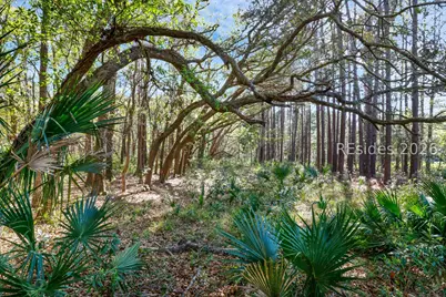 1 Canters Court, Bluffton, SC 29910 - Photo 3
